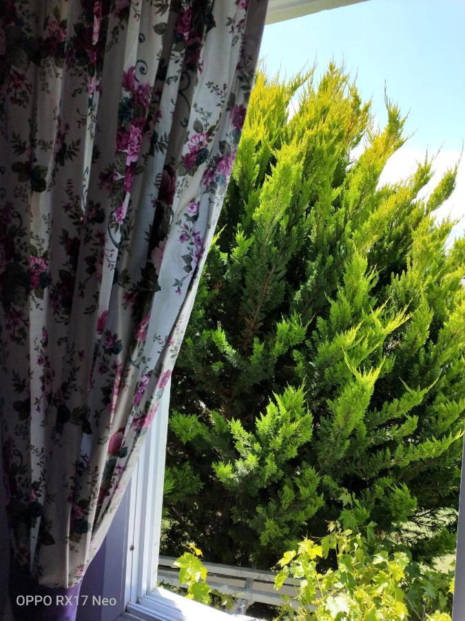 Maviev Otel Çeşme Eksteriør billede